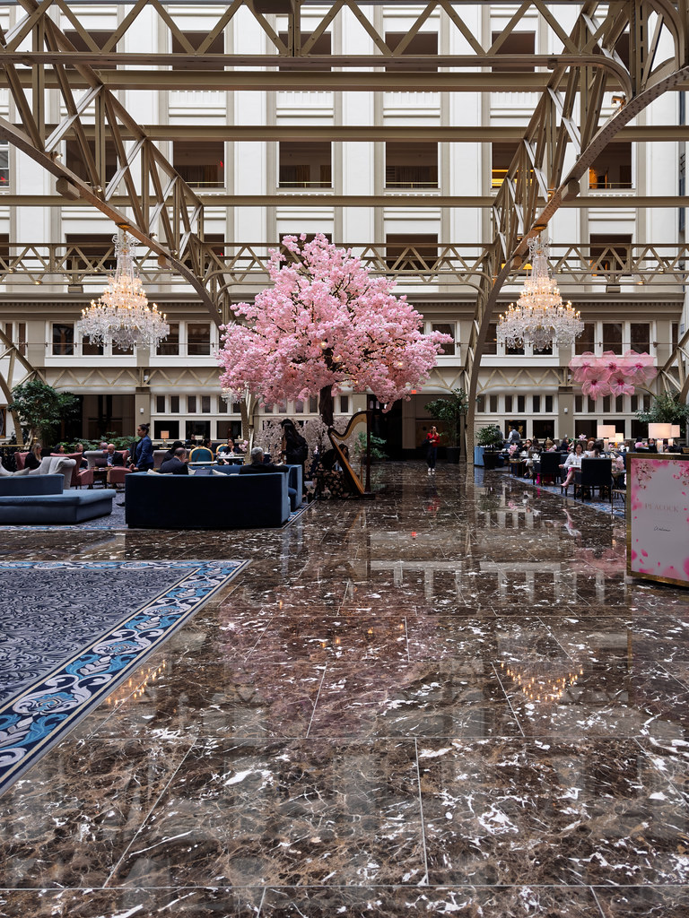 Aurelia Grand Lobby